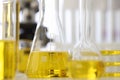 In laboratory, test tubes with yellow liquid are on table