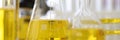 In laboratory, test tubes with yellow liquid are on table Royalty Free Stock Photo