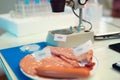 Laboratory testing of cured meat products Royalty Free Stock Photo