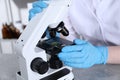 Laboratory testing. Scientist examining sample on slide under microscope indoors, closeup Royalty Free Stock Photo