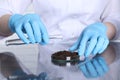 Laboratory testing. Scientist pouring liquid onto soil sample at table indoors, closeup Royalty Free Stock Photo