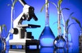 Laboratory theme. Place for text. Royalty Free Stock Photo