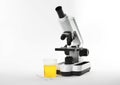 Laboratory ware with urine sample for analysis and microscope on white Royalty Free Stock Photo