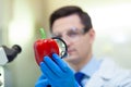 Laboratory worker examining fruits and vegetables and making analysis for pesticides and nitrates.