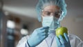 Laboratory worker injecting apples with chemicals, adding smell and juiciness