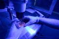 Laboratory worker researching human stem cells in cell culture dish Royalty Free Stock Photo