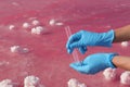 Laboratory worker with test tube taking sample from pink Royalty Free Stock Photo