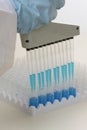 Laboratory worker using pipette. Royalty Free Stock Photo