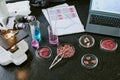 Conducting Food Analysis in Laboratory Setting Royalty Free Stock Photo