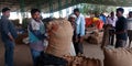 Labour holded wheat sack for ejecting seeds at agriculture produce market