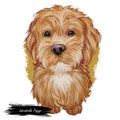 Labradoodle dog digital art illustration of cute canine animal. Crossbreed dog created by crossing Labrador retriever