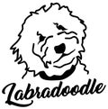 Labradoodle head silhouette with name Royalty Free Stock Photo