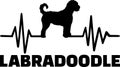 Labradoodle heartbeat word