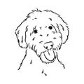 Labradoodle Mix dog - vector isolated illustration on white background Royalty Free Stock Photo