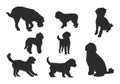 Labradoodle silhouette, Labradoodle dog silhouette, Labradoodle clipart, Labradoodle icon, Dog silhouette Royalty Free Stock Photo