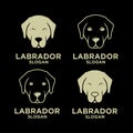 Set collection Labrador Retriever dog head face gold head logo icon design