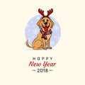 Labrador congratulates on the new year, 2018 year of the dog