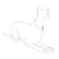 Labrador dog contour from black lines isolated on white background. Vector illustration Royalty Free Stock Photo
