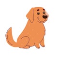 Labrador dog, Golden Retriever. Vector illustration in flat style isolated on white background Royalty Free Stock Photo