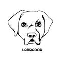 Labrador dog head Logo