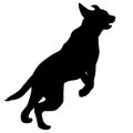 Labrador dog silhouette on a white background