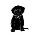 Labrador Dog Sitting Vector Silhouette