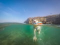 Labrador dog swimming with a frisbee Curacao views