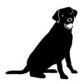 Labrador dog vector eps Hand drawn, Vector, Eps, Logo, Icon, crafteroks, silhouette Illustration for different uses