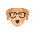 Labrador in glasses. Cute dog. Royalty Free Stock Photo