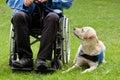 Labrador guide dog and his disabled owner Royalty Free Stock Photo