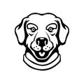 Labrador head illustration in engraving style. Design element for logo, label, sign, poster, t shirt
