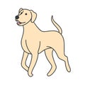 Labrador isolated doodle illustration