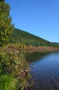 Labrador Pond reflections Truxton during early Fall Season vertical