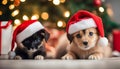 Labrador puppy and black kitten in a Santa Claus hat on a blue background, bokeh, confetti. New Year card Royalty Free Stock Photo