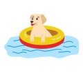 Labrador puppy in a float ring on water. Cute dog enjoying summertime swim. Playful pet in pool safety gear vector