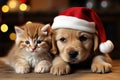 A Labrador puppy in a Santa Claus hat and a ginger kitten lie on the wooden floor. Advent calendar