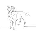 Labrador Retriever breed, companion dog, hunting dog one line art. Continuous line drawing of friend, dog, doggy
