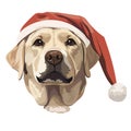 Labrador retriever closeup in Santa hat. Christmas portrait, vector illustration Royalty Free Stock Photo