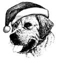 Labrador Retriever dog with christmas santa hat