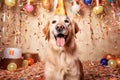 Labrador retriever dog with a hat and birthday cake and candles. Royalty Free Stock Photo
