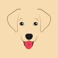 Labrador retriever dog. Little puppy vector illustration.