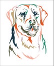 Labrador retriever dog vector color contour portrait vector