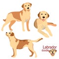 Labrador retriever dogs doodle in different poses and coat colors clipart. Vector illustration Royalty Free Stock Photo