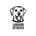 Labrador retriever head drawing. Vector illustration. Royalty Free Stock Photo