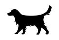 Labrador retriever icon. Dog silhouette standing. Vector flat illustration isolated