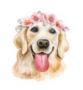 Labrador Retriever portrait, muzzle in a floral wreath