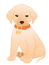 Labrador Retriever Puppy Royalty Free Stock Photo