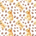 Labrador retriever puppy seamless pattern Royalty Free Stock Photo