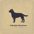 Labrador retriever vector stylized silhouette