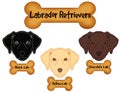 Labrador Retrievers, Black, Chocolate, Yellow Labs, Dog Bone Treats Royalty Free Stock Photo